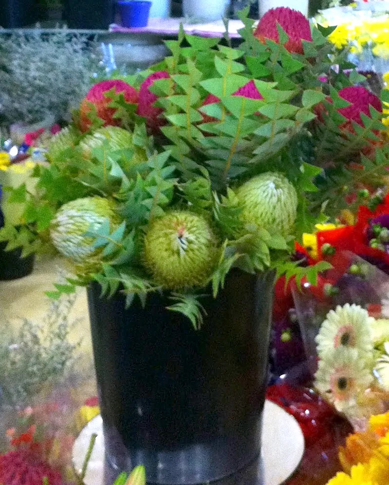 Banksias, waratahs and greenery standing in a bucket