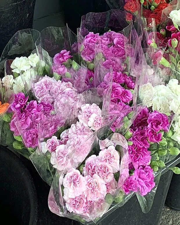 Pink and purple carnation bunches