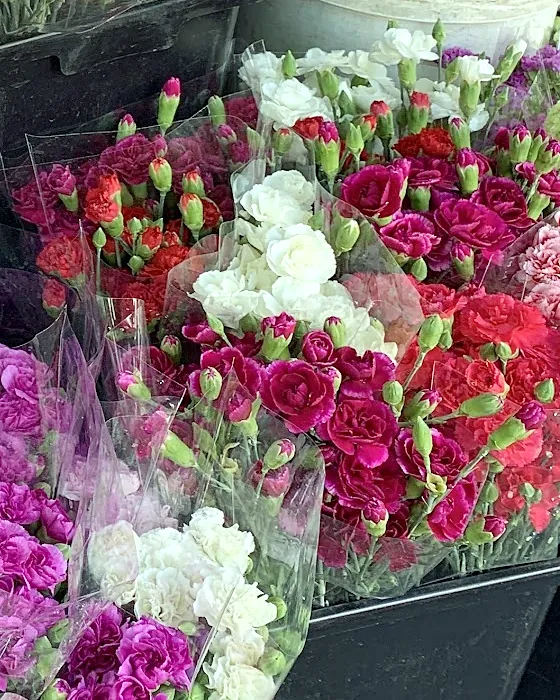 Red and white carnation bunches