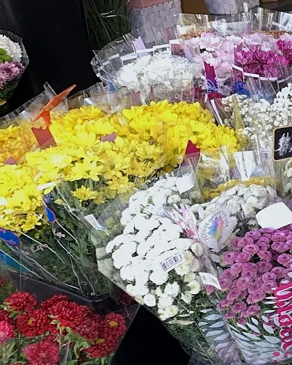 Yellow and white chrysanthemum bunches