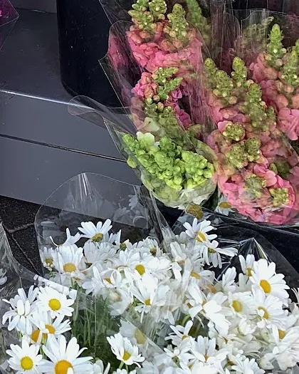 White daisy bunches