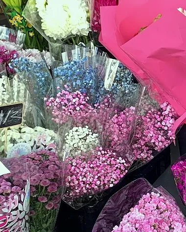 Pink, white and blue baby’s breath bunches