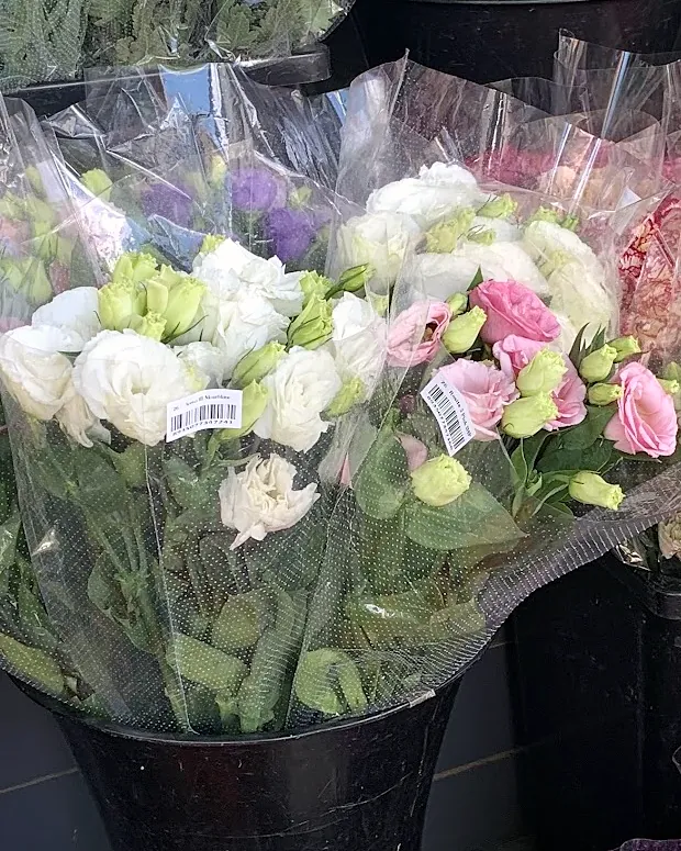 White and pink lisianthus bunches
