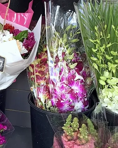 Purple and white orchid bunches